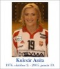 In memoriam Kulcsár Anita