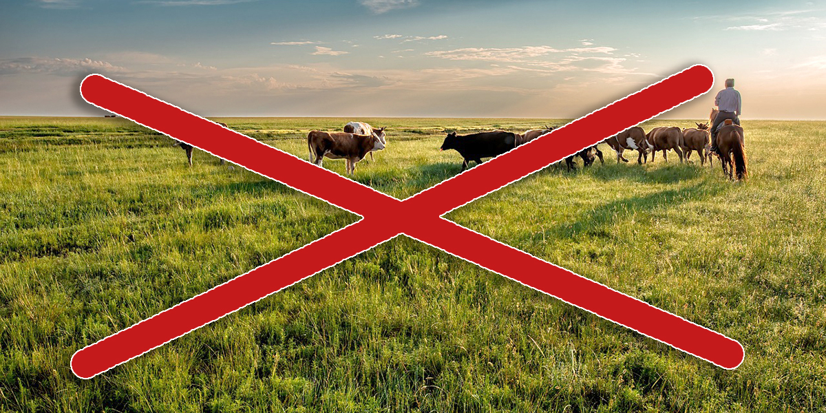 Legeltetési tilalom és ebzárlat!