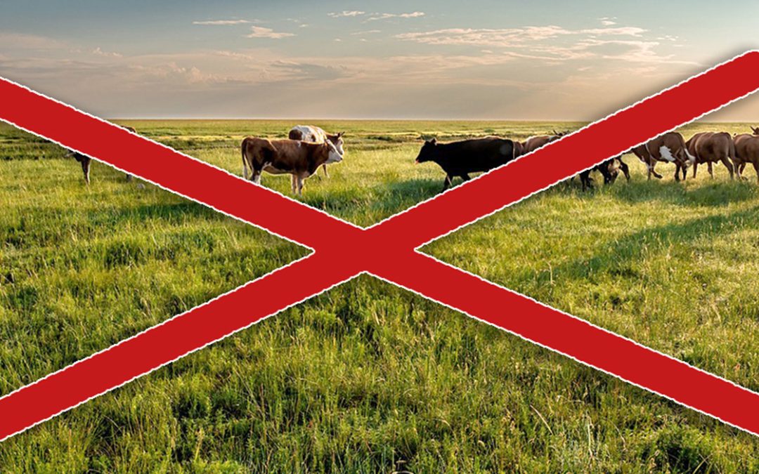 Legeltetési tilalom és ebzárlat!