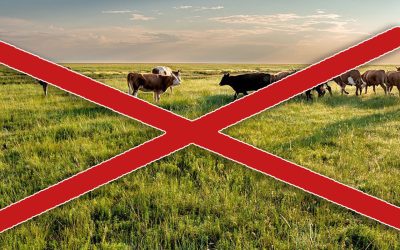 Legeltetési tilalom és ebzárlat!